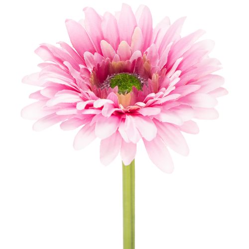 Artificial Gerbera Garden Flowers, Pink, 47cm, 6 Pieces buy online | Floristik24.co.uk