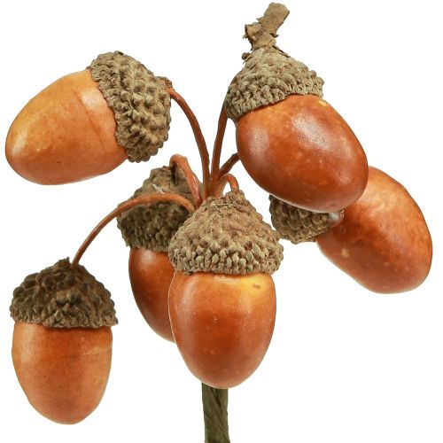 Floristik24 Artificial acorns on wire decoration for autumn wreath 3cm 6 pcs
