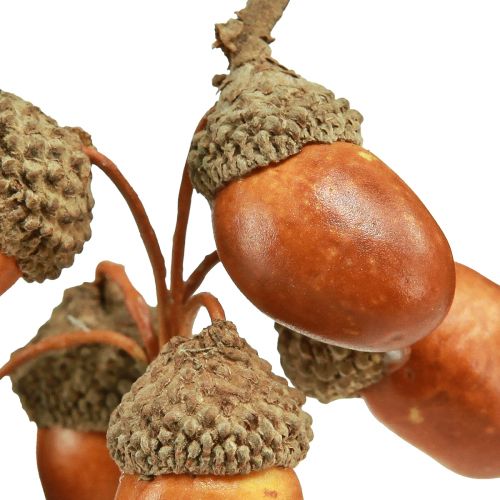 Floristik24 Artificial acorns on wire decoration for autumn wreath 3cm 6 pcs