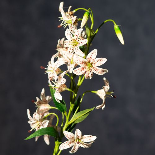 Product Artificial lily as a flower stem for elegant and low-maintenance decoration, 82cm, 2 pieces