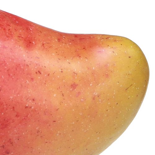 Product Artificial Mango Red, Yellow Realistic Food Dummy 15cm