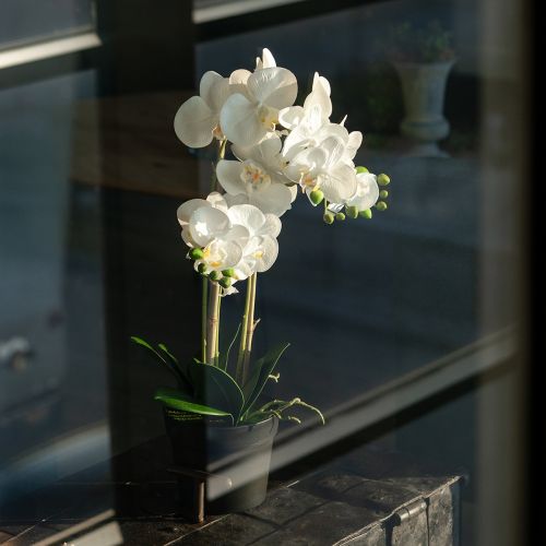 Product Artificial orchid in a pot for a harmonious ambience, white, 60cm