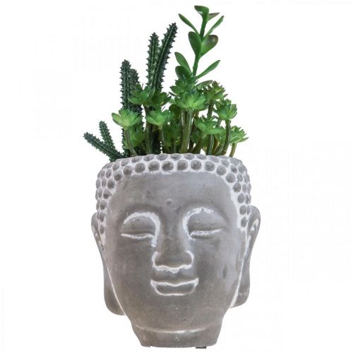 Floristik24 Artificial Succulent Flower Pot Buddha Ø12cm H24cm