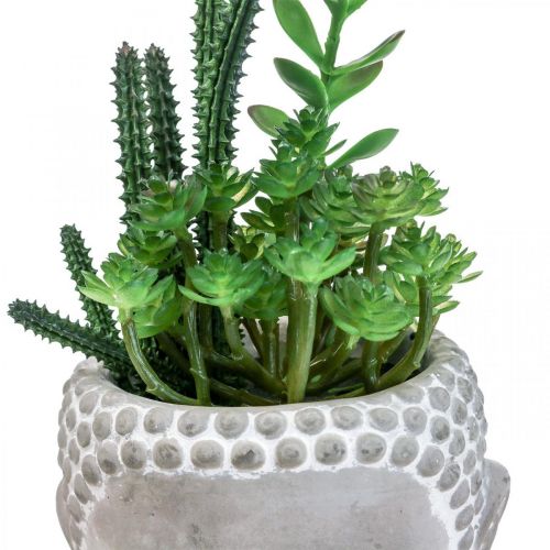 Floristik24 Artificial Succulent Flower Pot Buddha Ø12cm H24cm