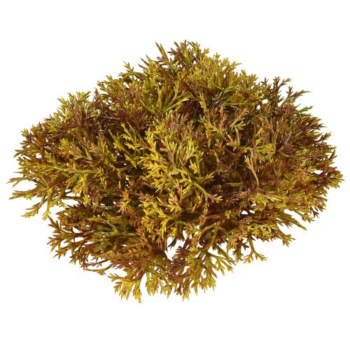 Floristik24 Artificial Moss Decoration Brown – Moss Cushion 10/12/14cm 3 pcs