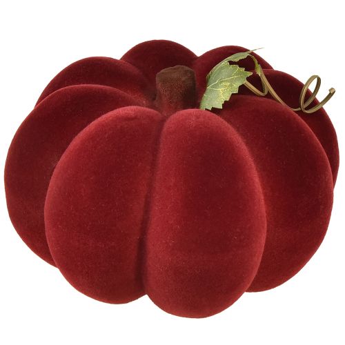 Product Pumpkin decoration flocked pumpkin red burgundy velvety look 20cm 2pcs