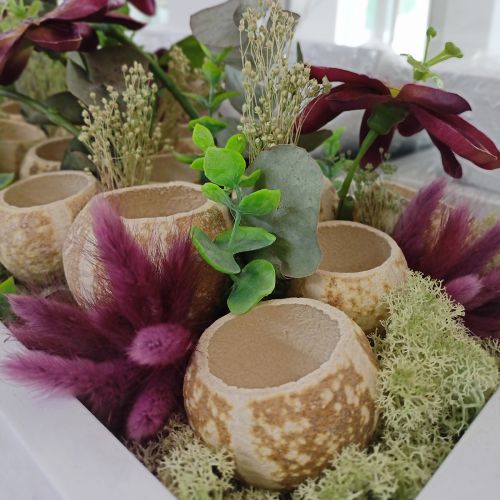 Product Pumpkin Decoration Bell Cup Pumpkin Cup bleached 50 pcs