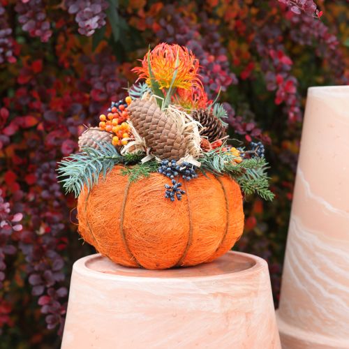Pumpkin plant pot orange/yellow-green made of sisal Ø15cm H9cm