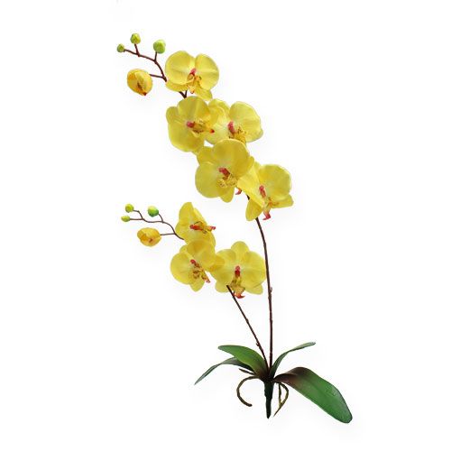 Floristik24 Artificial orchid yellow 68cm