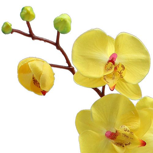 Product Artificial orchid yellow 68cm