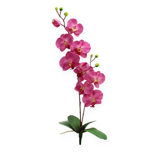 Floristik24 Artificial orchid with leaves Pink 68cm