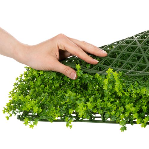 Artificial Boxwood Panel 55x55 cm Green for Decorative Wall Design | Floristik24.co.uk