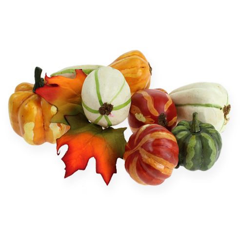 Pumpkin mix colorful 12pcs | Floristik24.co.uk