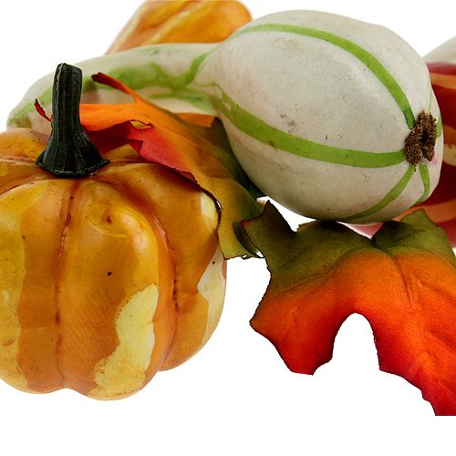 Pumpkin mix colorful 12pcs | Floristik24.co.uk