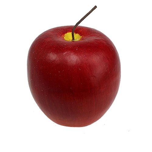 Floristik24 Apple Gala Red 20cm