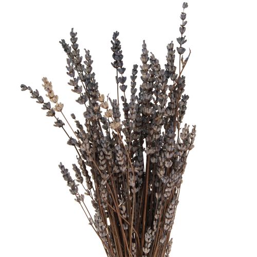 Product Lavender dried fragrant dried flowers 35-40cm 50g