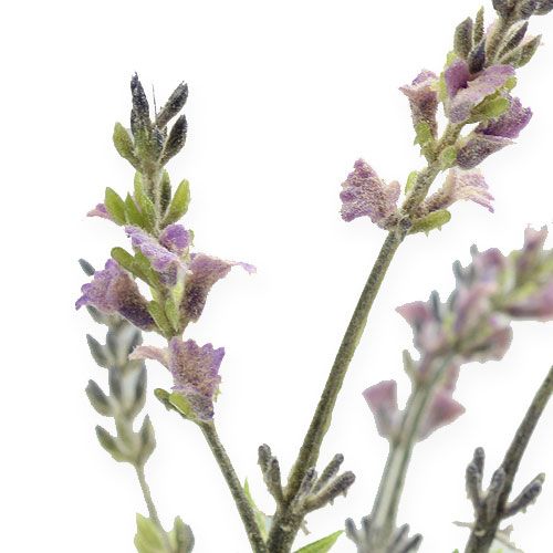 Floristik24 Artificial lavender 53cm