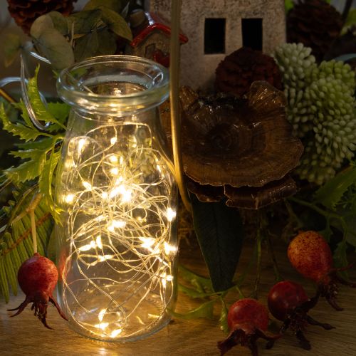 Battery-Operated Warm White LED String Lights for Indoor Use, 30 LEDs, 3m, Set of 6 | Floristik24.co.uk