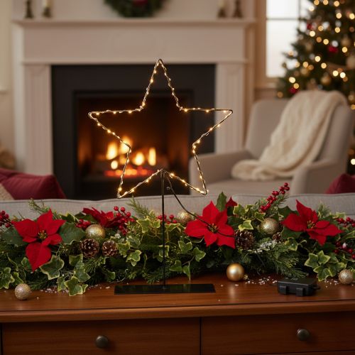 LED Star with Battery Box on Stand, Black, 46 cm for Indoor Decoration | Floristik24.co.uk
