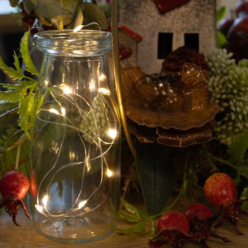 Battery-Operated Warm White LED String Lights with Timer, 10 LEDs, 1m, Indoor Use | Floristik24.co.uk