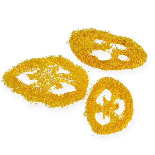 Floristik24 Loofah slices yellow 25pcs