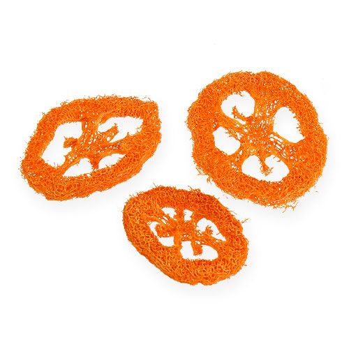 Floristik24 Luffa Slices Orange 25 pcs