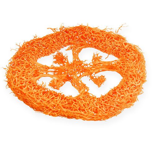 Product Loofah slices orange 25p