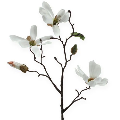 Floristik24 Deco Branch Magnolia 40cm White 4pcs