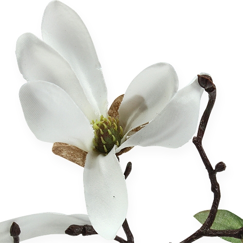 Floristik24 Deco Branch Magnolia 40cm White 4pcs