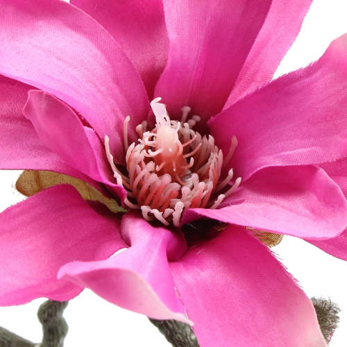 Floristik24 Magnolia branch 45cm 3pcs