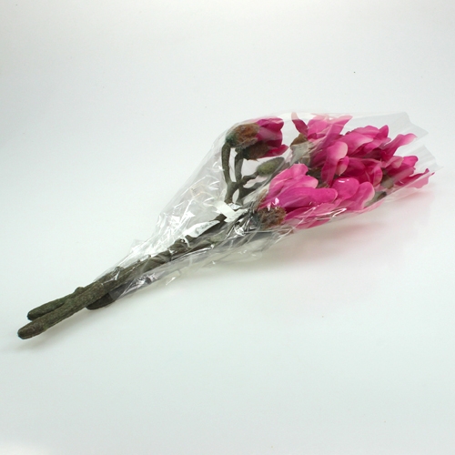 Floristik24 Magnolia branch 45cm 3pcs