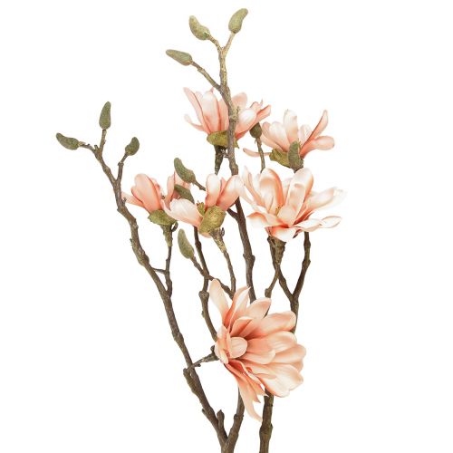 Floristik24 Magnolia branch with 6 flowers Magnolia artificial salmon 84cm