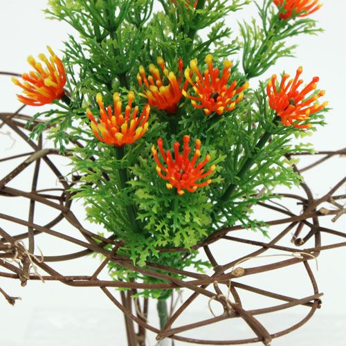 Floristik24 Vine cuff Ø15cm 8pcs