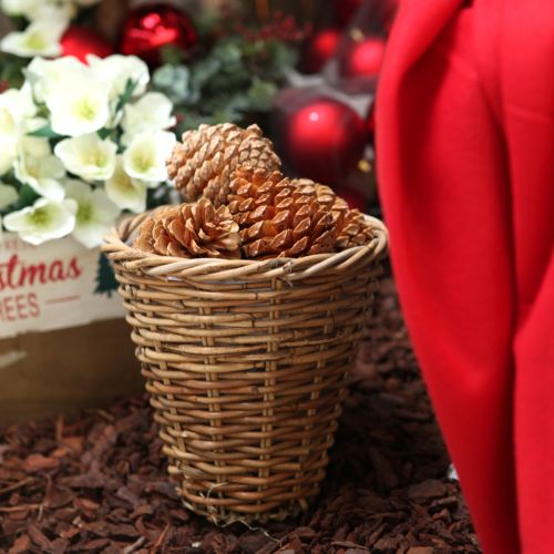 Product Maritima cones cream-vanilla mixed 5-18cm 25 pcs