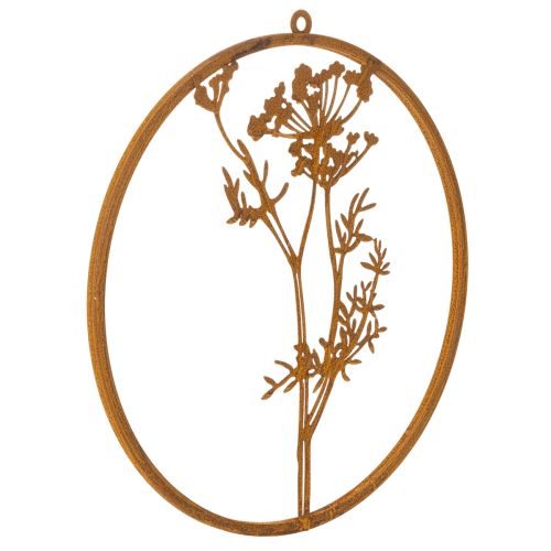 Metal ring, rusted metal, decorative ring, wall decoration, dill sprig, Ø38cm buy online | Floristik24.co.uk