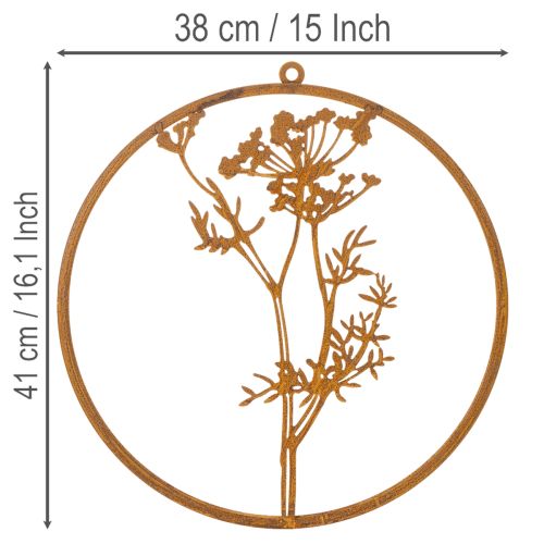 Metal ring, rusted metal, decorative ring, wall decoration, dill sprig, Ø38cm | Floristik24.co.uk