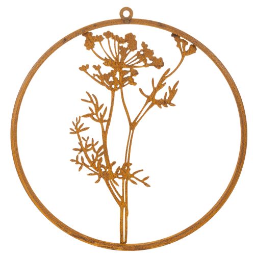 Metal ring, rusted metal, decorative ring, wall decoration, dill sprig, Ø38cm | Floristik24.co.uk