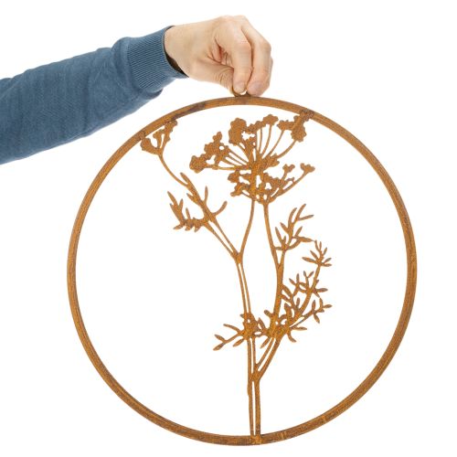 Metal ring, rusted metal, decorative ring, wall decoration, dill sprig, Ø38cm | Floristik24.co.uk