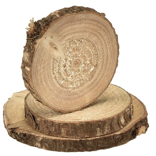 Product Mini wooden discs decorative tree discs natural Ø3-6cm 600g