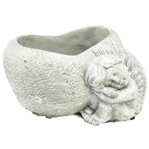 Product Mini Plant Bowl Grave Angel Angel Grey Plant Heart 16×12cm H9.5cm