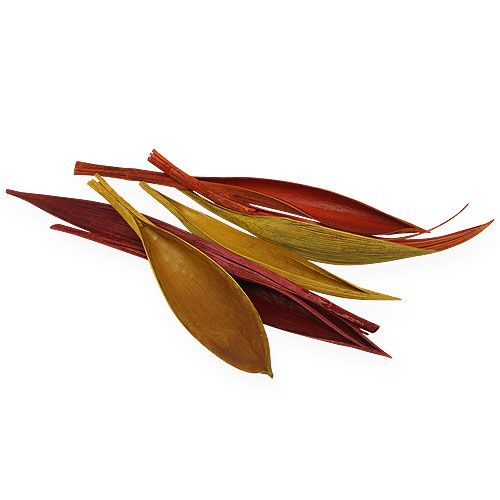 Floristik24 Coconut leaf mini 3-colored ass. 0.5 kg