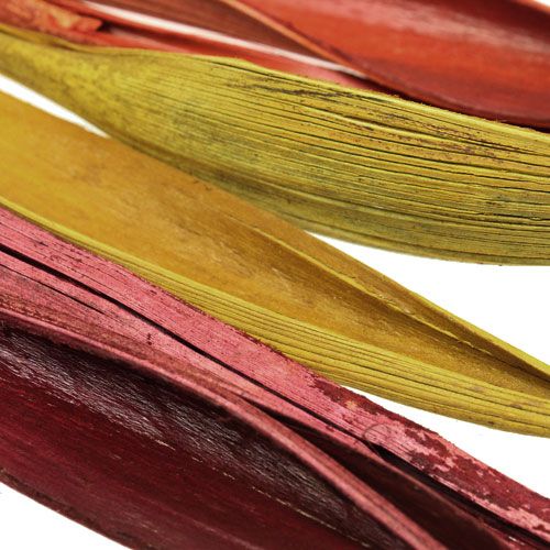 Floristik24 Coconut leaf mini 3-colored ass. 0.5 kg