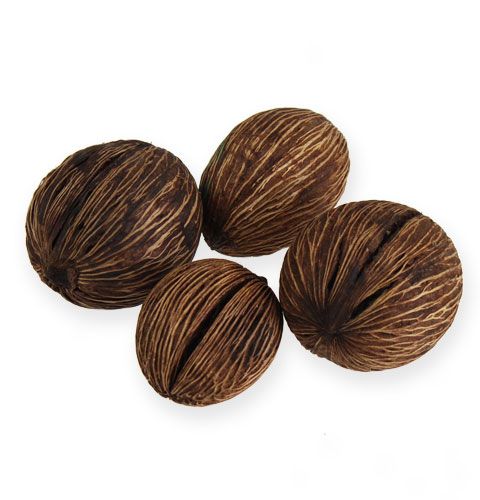 Floristik24 Mintolla Ball Natural assorted 15 pcs