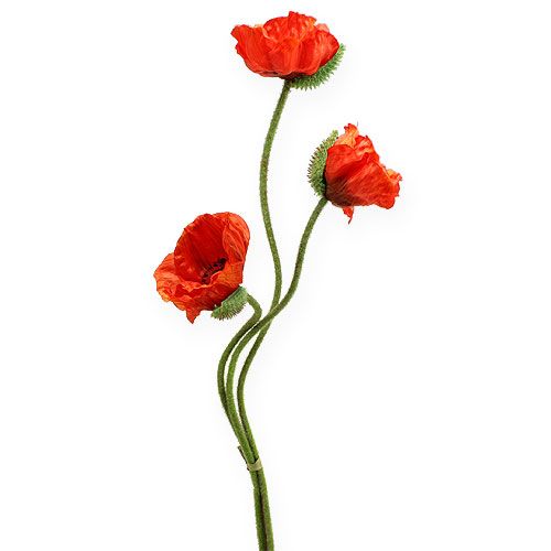 Floristik24 Artificial Flower Poppy Orange 75cm 3pcs