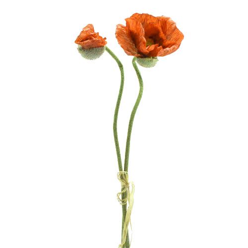 Poppy orange 67cm 2pcs