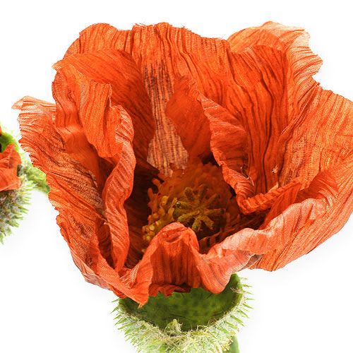 Floristik24 Poppy orange 67cm 2pcs