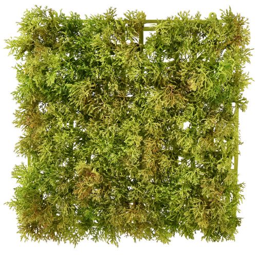 Floristik24 Moss artificial moss mat – perfect for moss picture light green 25×25cm