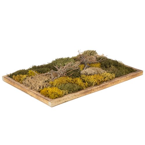 Moss picture, real preserved moss and twigs, natural, 60×40cm