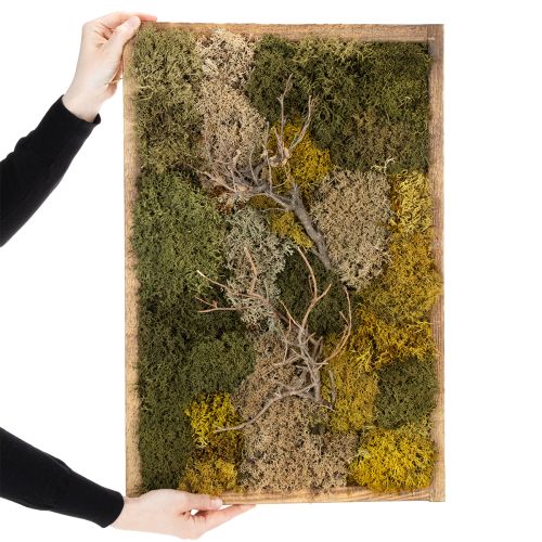 Product Moss picture, real preserved moss and twigs, natural, 60×40cm