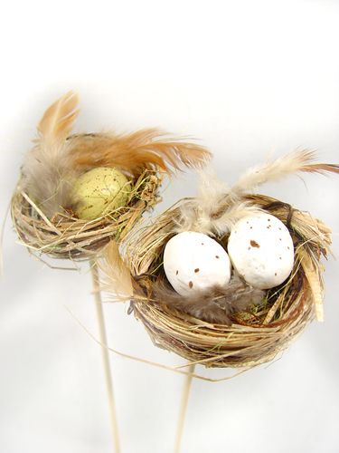 Floristik24 Bird's nest with eggs on the bar 6cm 6pcs